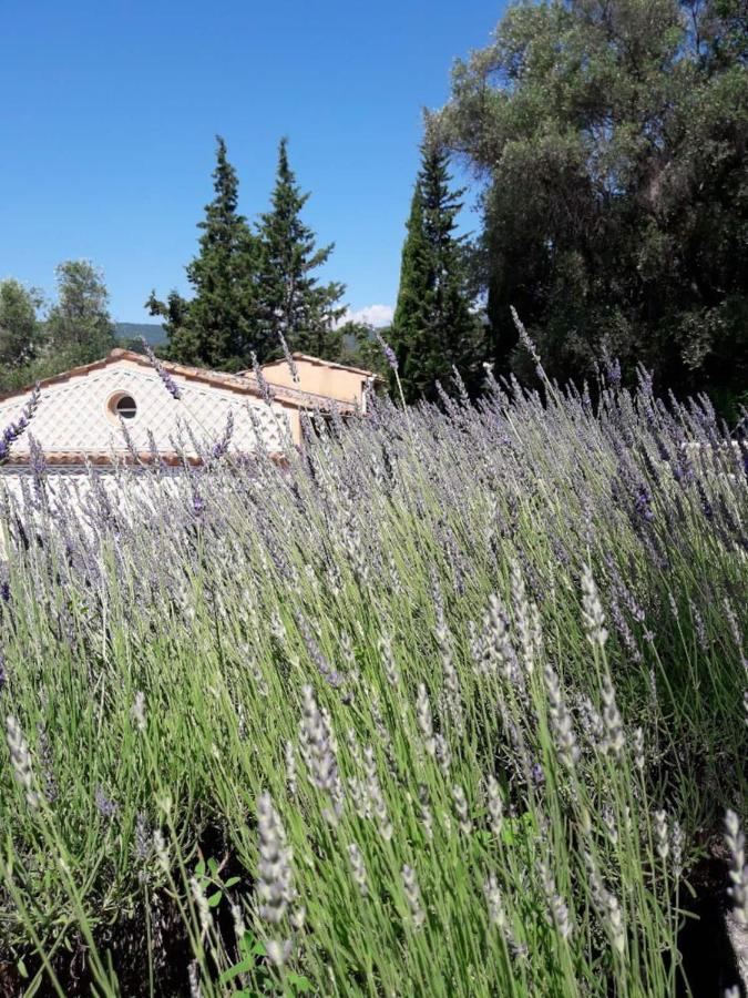 Apartment Cezanne With Heated Pool And Private Garden Chateauneuf-Grasse Zewnętrze zdjęcie