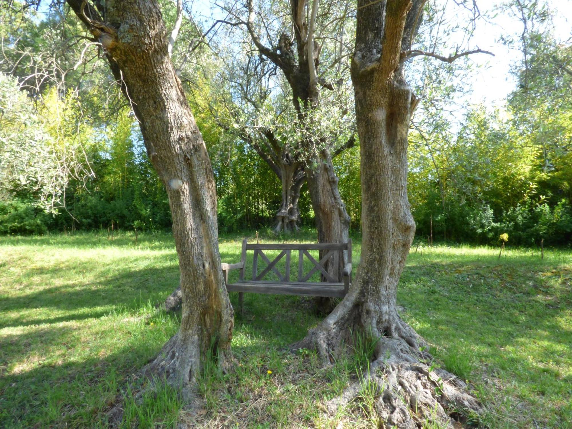 Apartment Cezanne With Heated Pool And Private Garden Chateauneuf-Grasse Zewnętrze zdjęcie