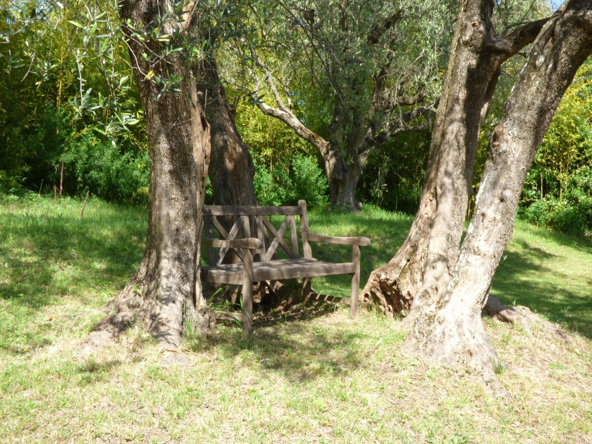 Apartment Cezanne With Heated Pool And Private Garden Chateauneuf-Grasse Zewnętrze zdjęcie