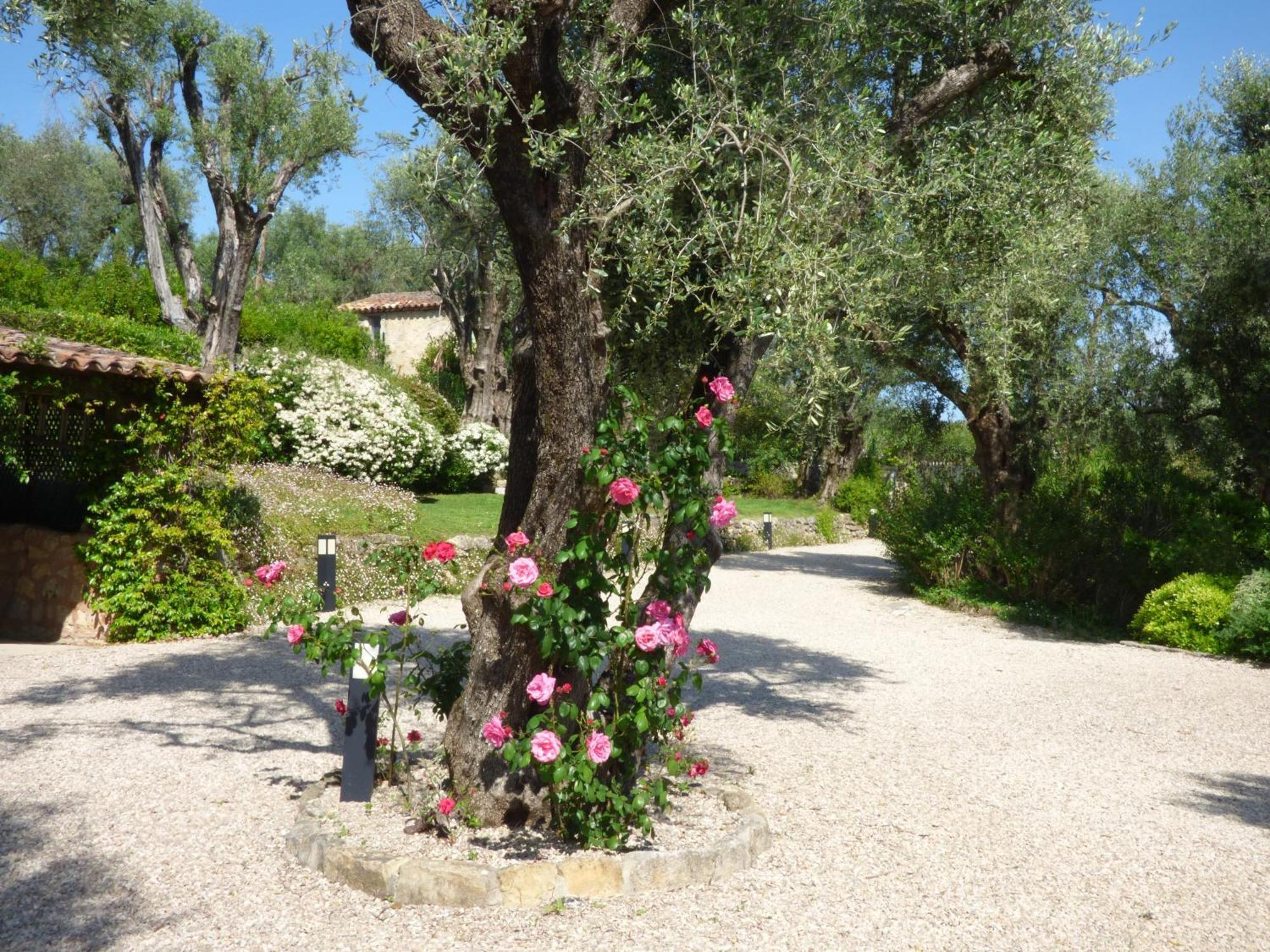 Apartment Cezanne With Heated Pool And Private Garden Chateauneuf-Grasse Zewnętrze zdjęcie