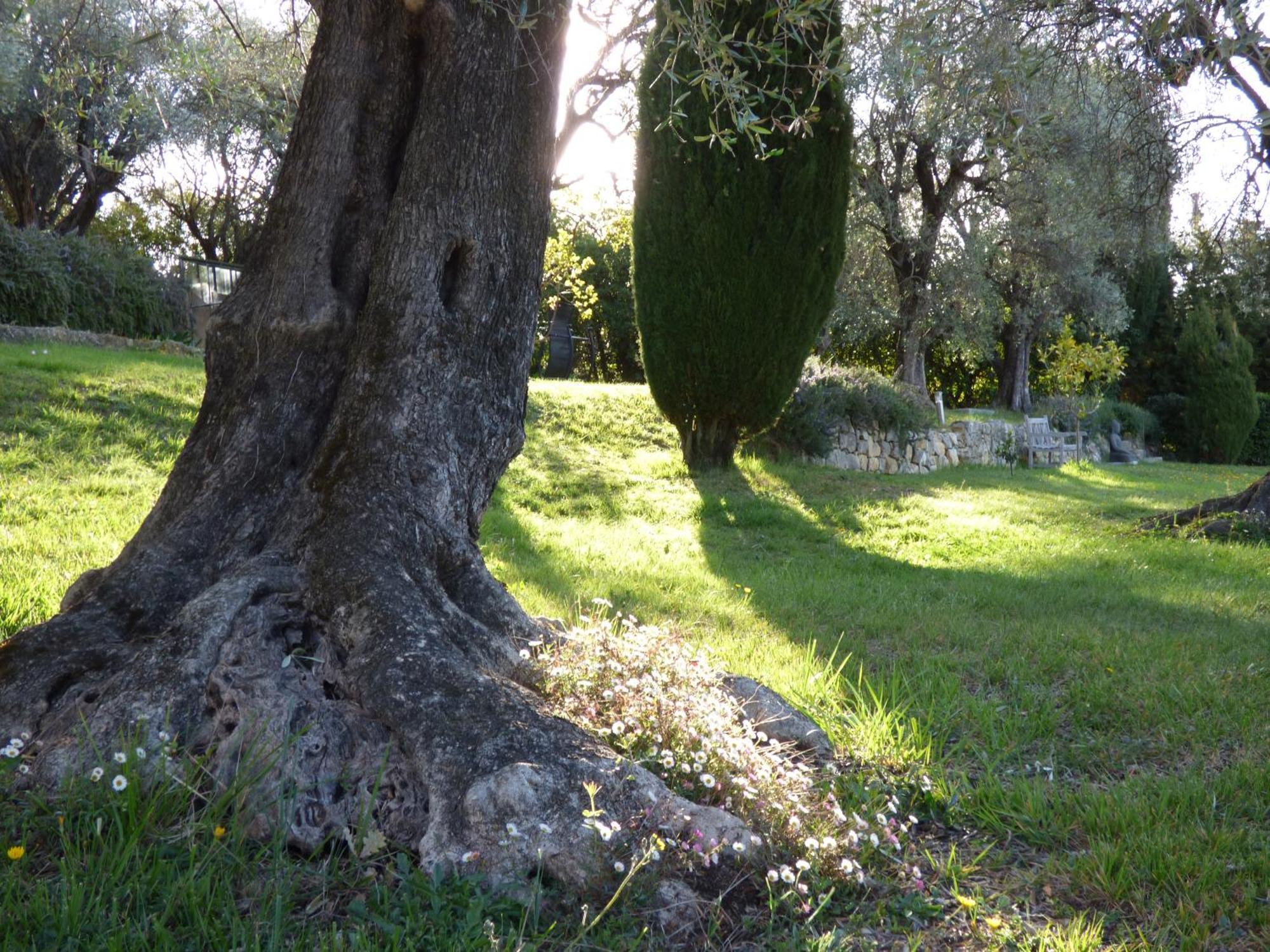 Apartment Cezanne With Heated Pool And Private Garden Chateauneuf-Grasse Zewnętrze zdjęcie